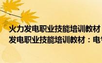 火力发电职业技能培训教材：电气设备检修 上下(关于火力发电职业技能培训教材：电气设备检修 上下的简介)
