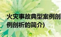 火灾事故典型案例剖析(关于火灾事故典型案例剖析的简介)