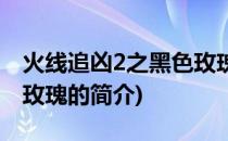 火线追凶2之黑色玫瑰(关于火线追凶2之黑色玫瑰的简介)