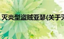 灭炎型盗贼亚瑟(关于灭炎型盗贼亚瑟的简介)