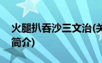 火腿扒吞沙三文治(关于火腿扒吞沙三文治的简介)