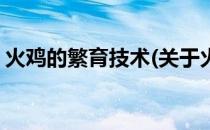 火鸡的繁育技术(关于火鸡的繁育技术的简介)