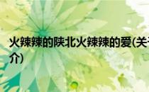 火辣辣的陕北火辣辣的爱(关于火辣辣的陕北火辣辣的爱的简介)