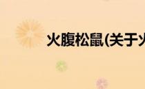 火腹松鼠(关于火腹松鼠的简介)