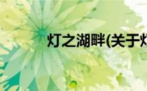 灯之湖畔(关于灯之湖畔的简介)