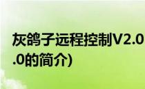 灰鸽子远程控制V2.0(关于灰鸽子远程控制V2.0的简介)