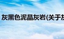 灰黑色泥晶灰岩(关于灰黑色泥晶灰岩的简介)