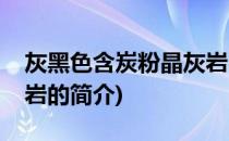 灰黑色含炭粉晶灰岩(关于灰黑色含炭粉晶灰岩的简介)