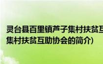 灵台县百里镇芦子集村扶贫互助协会(关于灵台县百里镇芦子集村扶贫互助协会的简介)