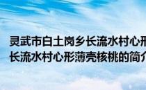 灵武市白土岗乡长流水村心形薄壳核桃(关于灵武市白土岗乡长流水村心形薄壳核桃的简介)