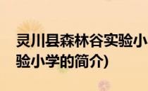 灵川县森林谷实验小学(关于灵川县森林谷实验小学的简介)