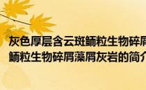灰色厚层含云斑鲕粒生物碎屑藻屑灰岩(关于灰色厚层含云斑鲕粒生物碎屑藻屑灰岩的简介)