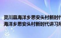 灵川县海洋乡思安头村新时代讲习所志愿服务队(关于灵川县海洋乡思安头村新时代讲习所志愿服务队的简介)