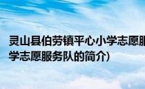 灵山县伯劳镇平心小学志愿服务队(关于灵山县伯劳镇平心小学志愿服务队的简介)