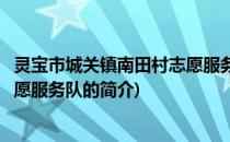 灵宝市城关镇南田村志愿服务队(关于灵宝市城关镇南田村志愿服务队的简介)