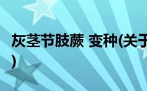 灰茎节肢蕨 变种(关于灰茎节肢蕨 变种的简介)