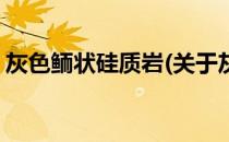 灰色鲕状硅质岩(关于灰色鲕状硅质岩的简介)