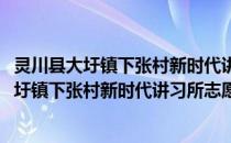 灵川县大圩镇下张村新时代讲习所志愿服务队(关于灵川县大圩镇下张村新时代讲习所志愿服务队的简介)