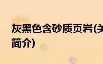 灰黑色含砂质页岩(关于灰黑色含砂质页岩的简介)