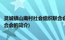 灵城镇山南村社会组织联合会(关于灵城镇山南村社会组织联合会的简介)