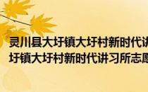 灵川县大圩镇大圩村新时代讲习所志愿服务队(关于灵川县大圩镇大圩村新时代讲习所志愿服务队的简介)