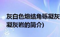 灰白色熔结角砾凝灰岩(关于灰白色熔结角砾凝灰岩的简介)
