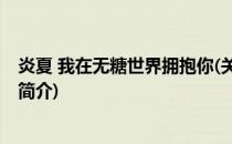 炎夏 我在无糖世界拥抱你(关于炎夏 我在无糖世界拥抱你的简介)