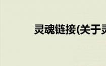 灵魂链接(关于灵魂链接的简介)