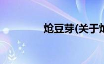 炝豆芽(关于炝豆芽的简介)