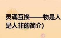 灵魂互换——物是人非(关于灵魂互换——物是人非的简介)