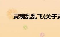 灵魂乱乱飞(关于灵魂乱乱飞的简介)