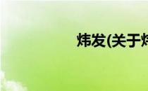 炜发(关于炜发的简介)