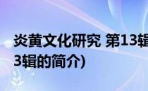 炎黄文化研究 第13辑(关于炎黄文化研究 第13辑的简介)