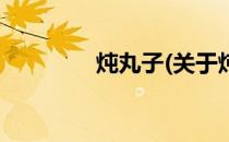 炖丸子(关于炖丸子的简介)