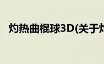 灼热曲棍球3D(关于灼热曲棍球3D的简介)