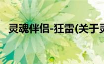 灵魂伴侣-狂雷(关于灵魂伴侣-狂雷的简介)