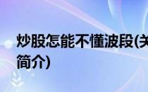 炒股怎能不懂波段(关于炒股怎能不懂波段的简介)