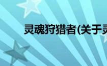 灵魂狩猎者(关于灵魂狩猎者的简介)