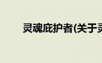 灵魂庇护者(关于灵魂庇护者的简介)