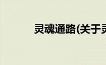 灵魂通路(关于灵魂通路的简介)