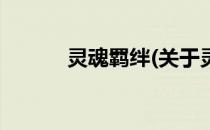 灵魂羁绊(关于灵魂羁绊的简介)