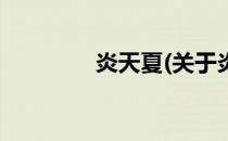 炎天夏(关于炎天夏的简介)
