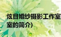 炫目婚纱摄影工作室(关于炫目婚纱摄影工作室的简介)