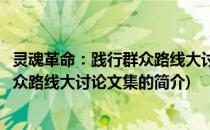 灵魂革命：践行群众路线大讨论文集(关于灵魂革命：践行群众路线大讨论文集的简介)