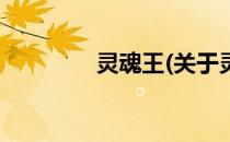 灵魂王(关于灵魂王的简介)