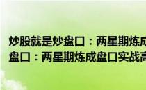 炒股就是炒盘口：两星期炼成盘口实战高手(关于炒股就是炒盘口：两星期炼成盘口实战高手的简介)