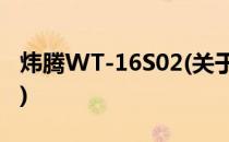 炜腾WT-16S02(关于炜腾WT-16S02的简介)