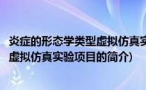 炎症的形态学类型虚拟仿真实验项目(关于炎症的形态学类型虚拟仿真实验项目的简介)