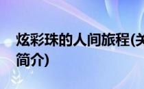 炫彩珠的人间旅程(关于炫彩珠的人间旅程的简介)
