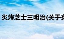 炙烤芝士三明治(关于炙烤芝士三明治的简介)
